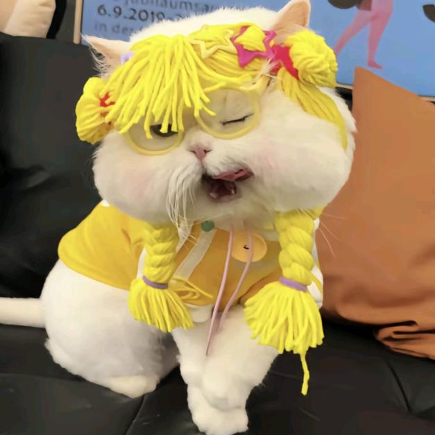 小新爱土豆