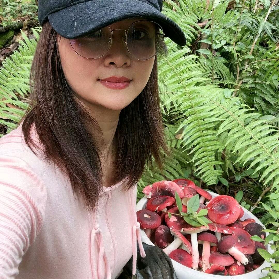 红菇妹