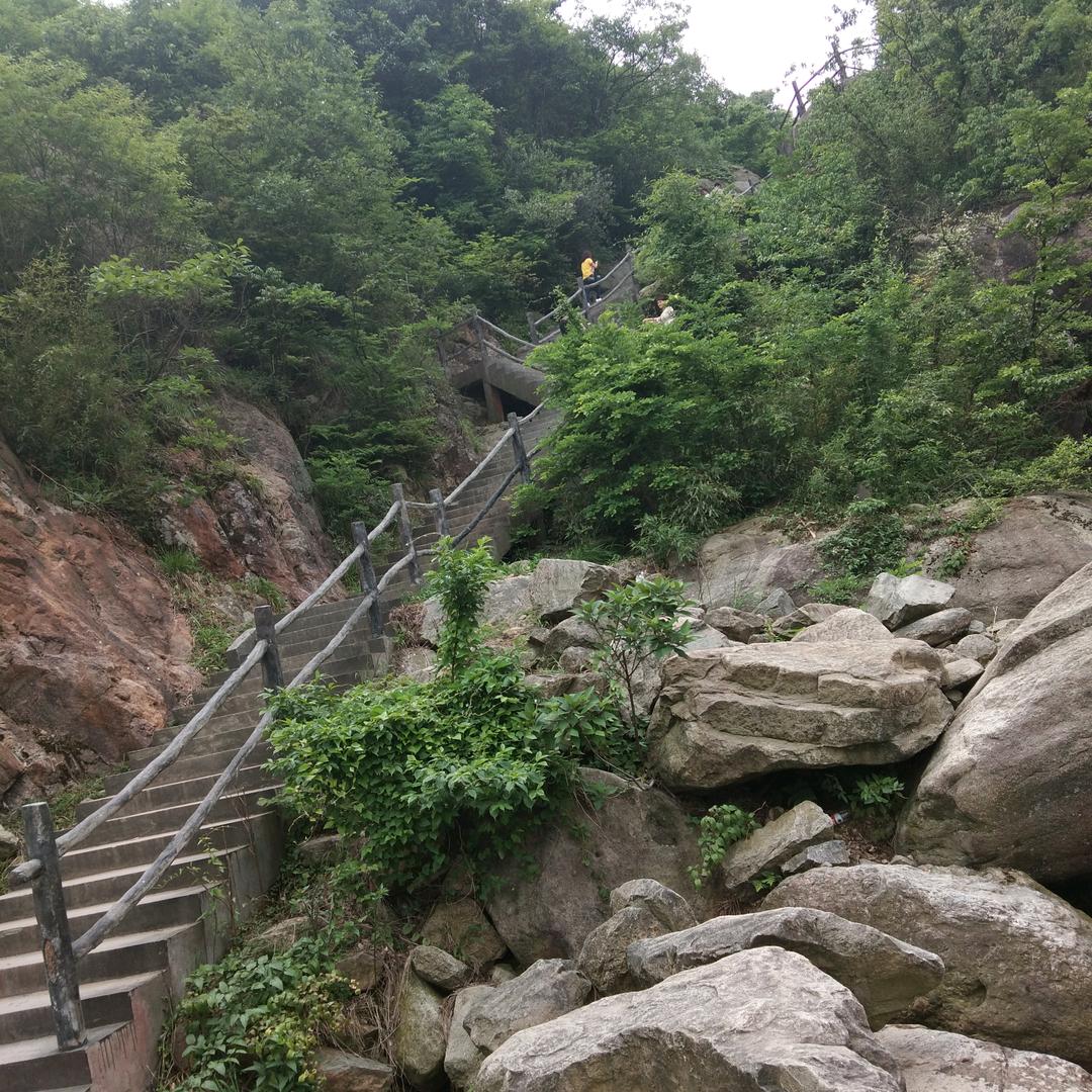 玉哥（专业瓷砖美缝）