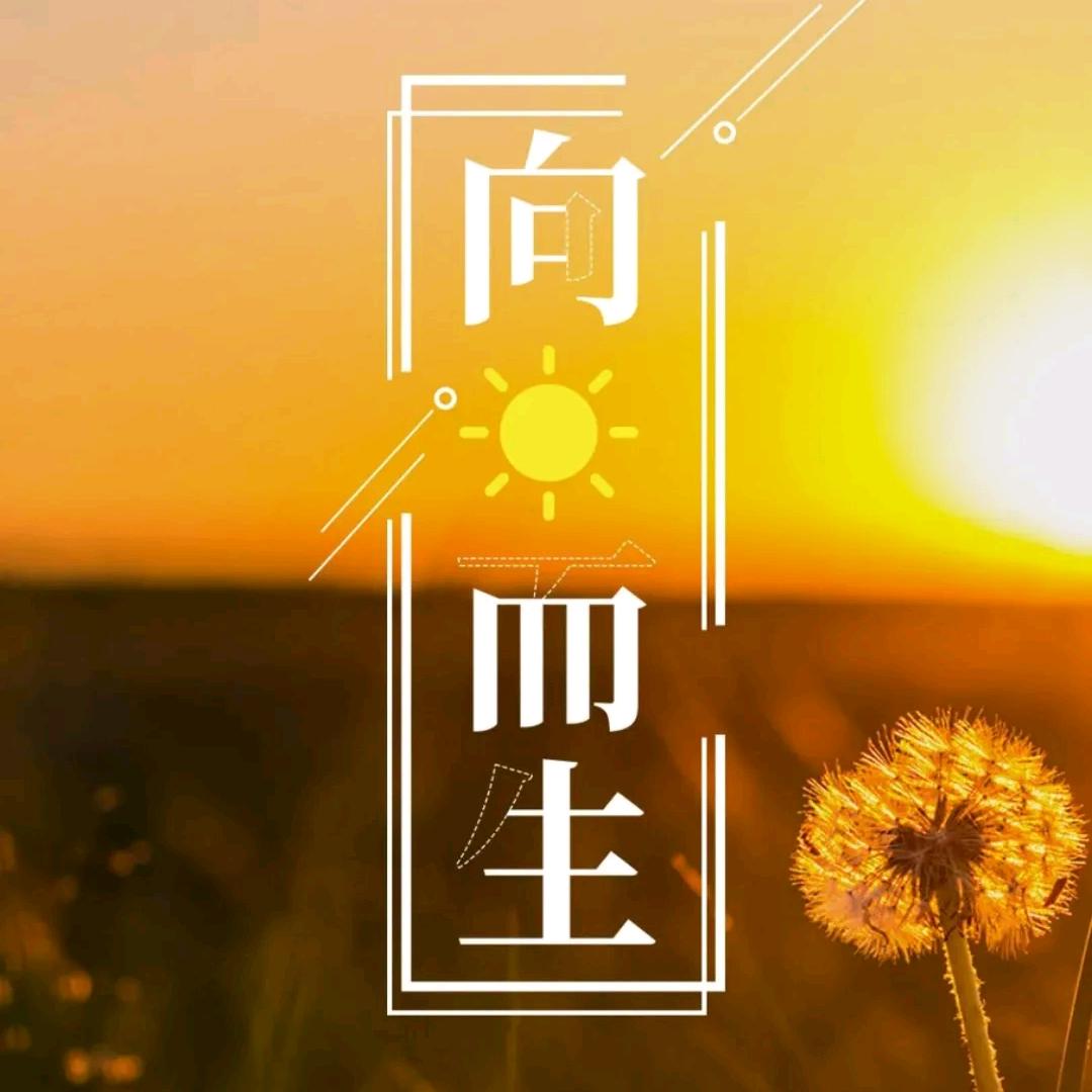 沛县专业地坪、卖土、挖机租赁