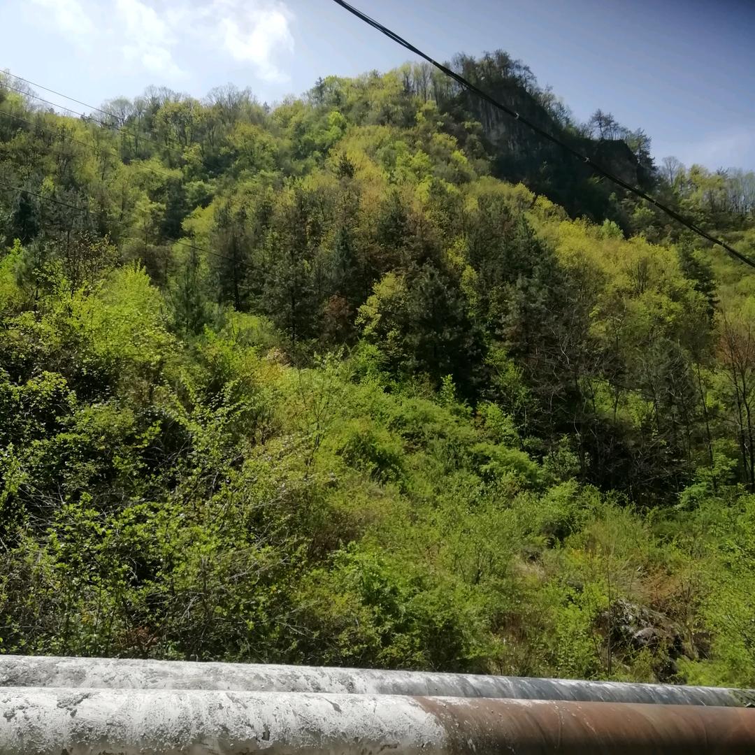 西安小玲
