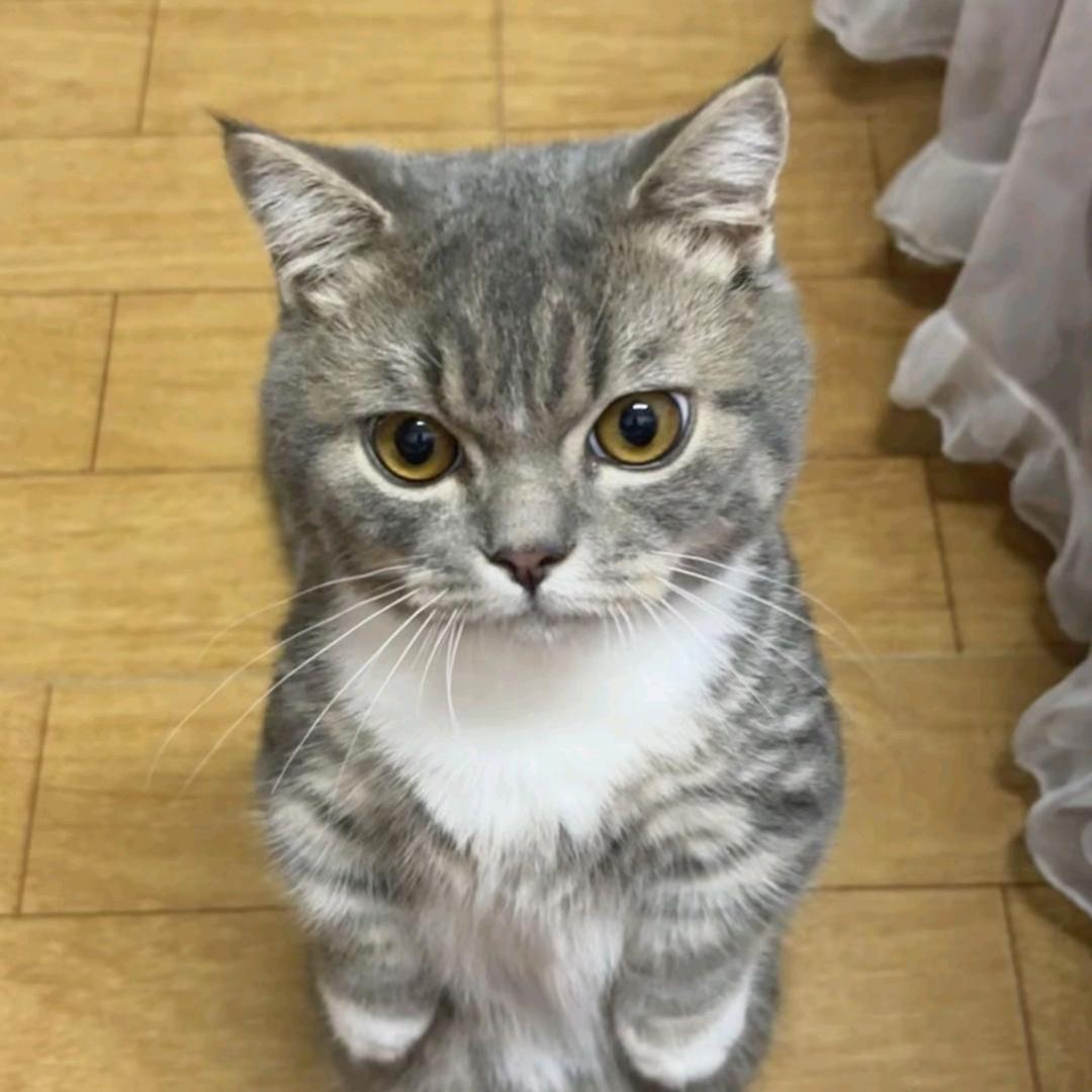 开塞露911