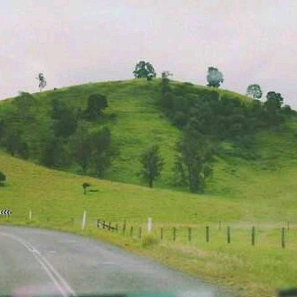 新希望华泰路店