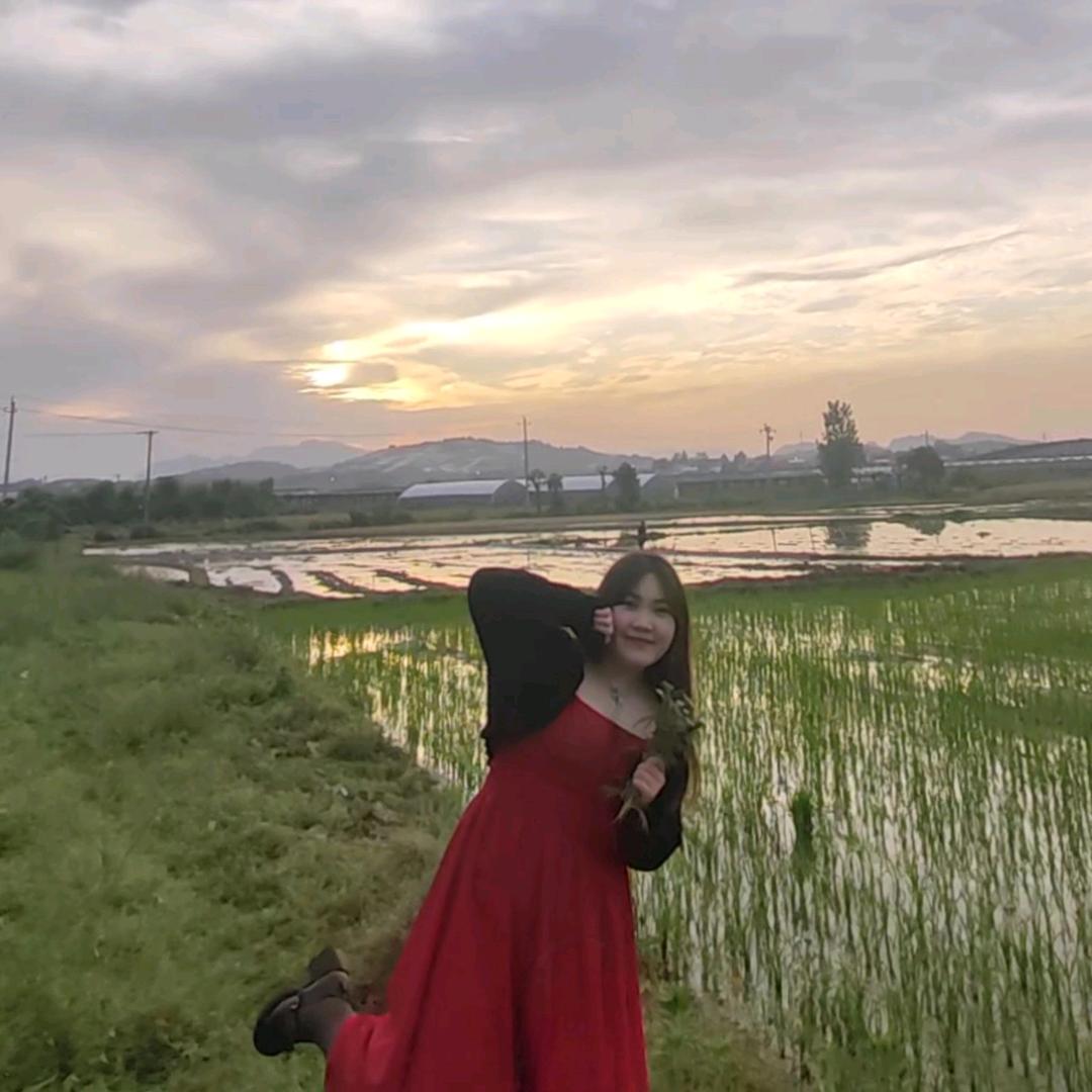 海豚音💓