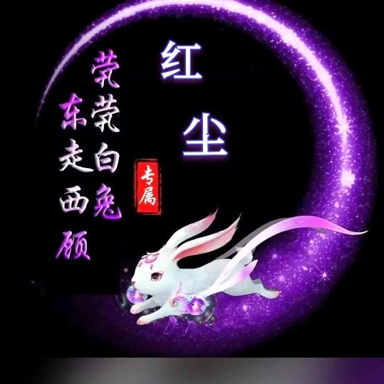 酒醉红尘