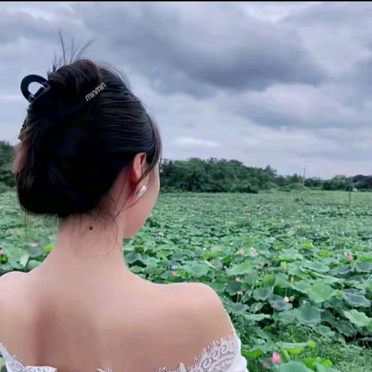 一粒小莎子