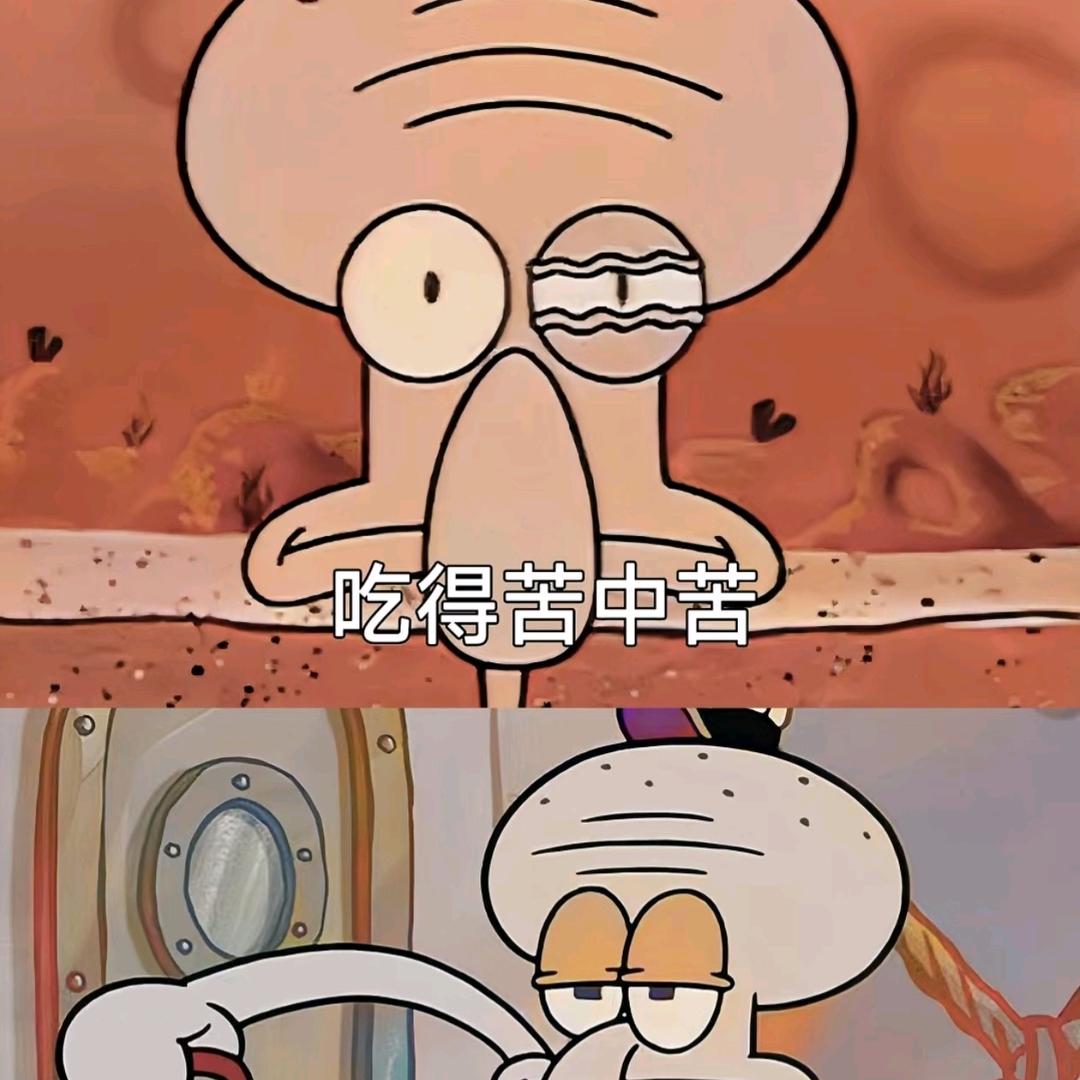 来块🍪