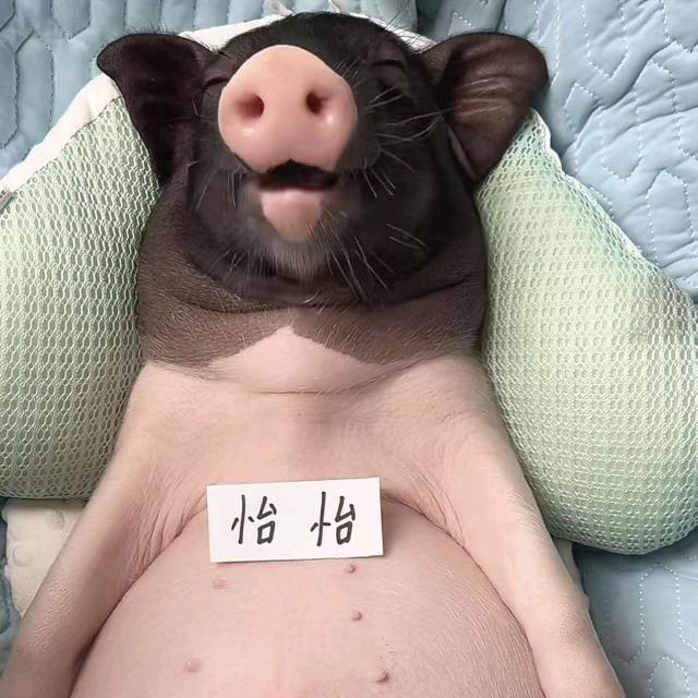 是个阿怡（见过JJ版）