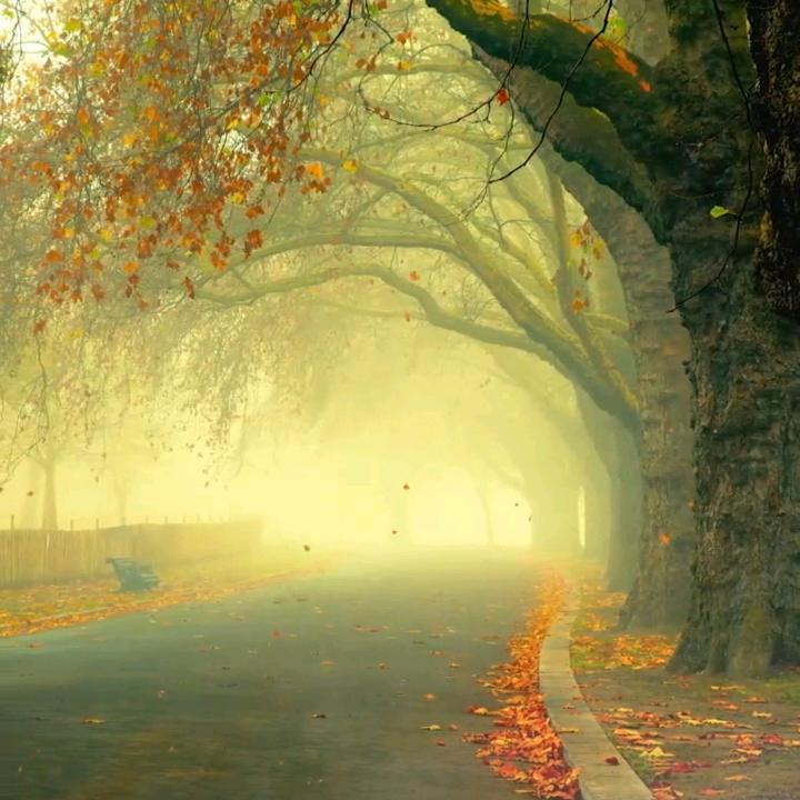 走好自己的路…