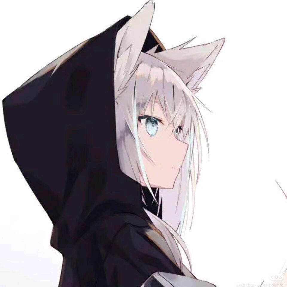 云云