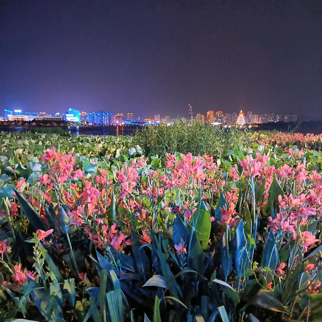 蒋三哥