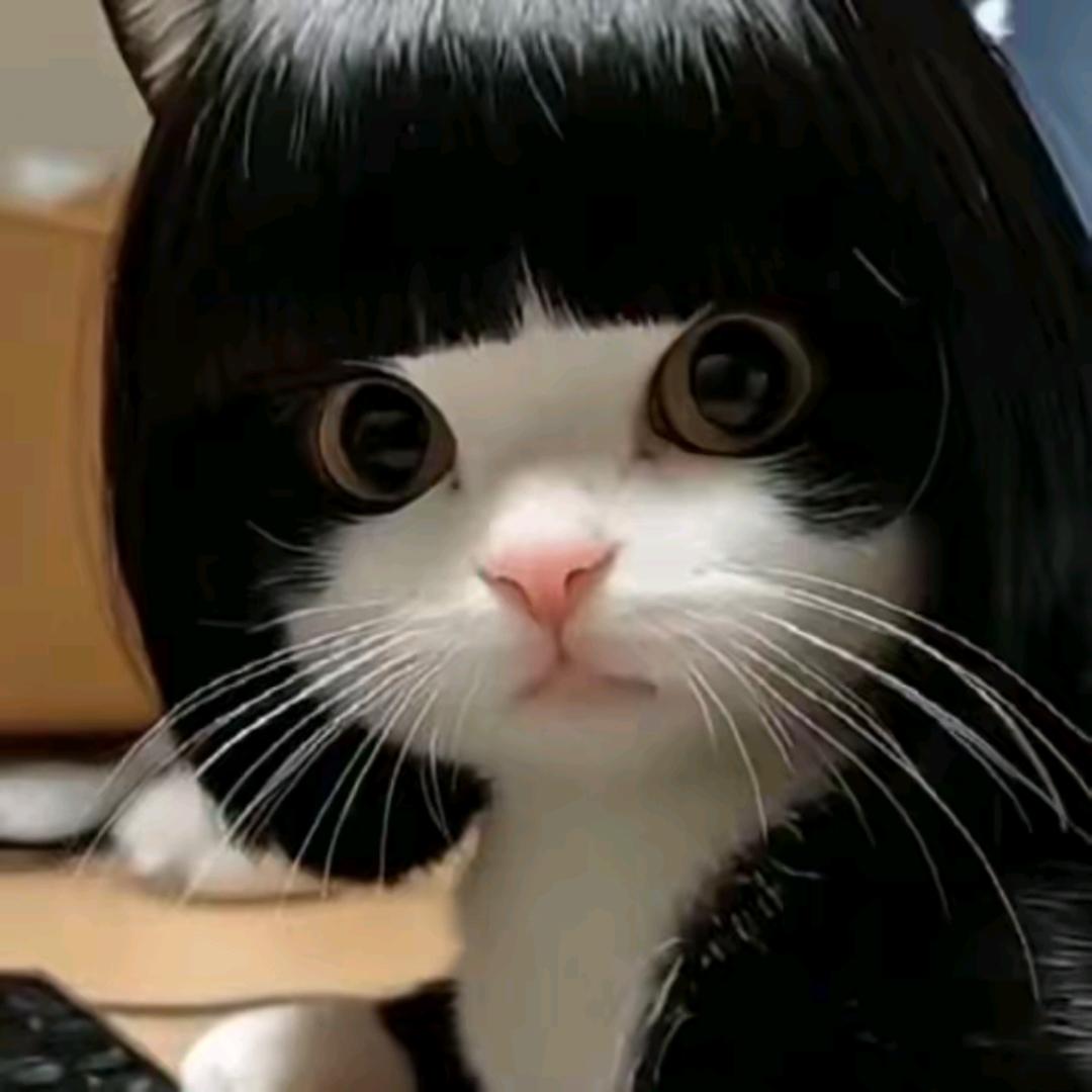 倆藢喵