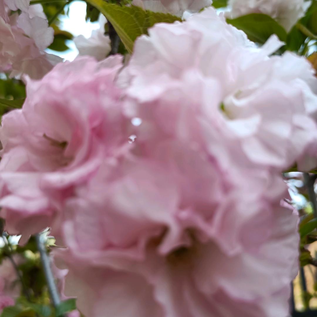 开心快乐每一天