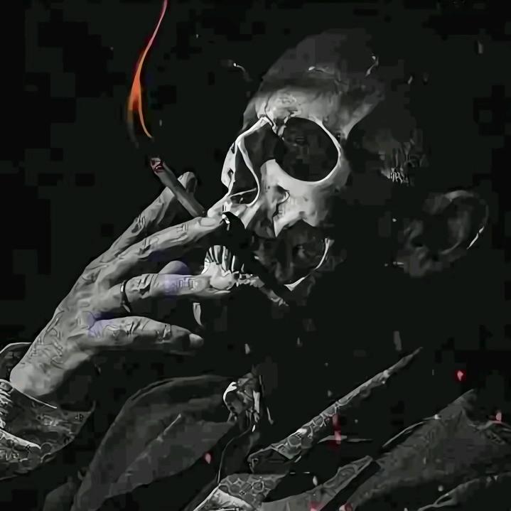 疯狂的记忆
