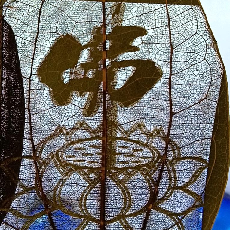 老江户外歌友会