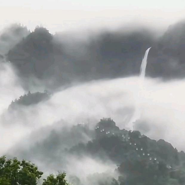 🌴🌾雾🌾🪷森🎋🌲