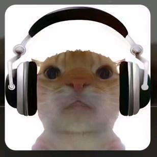 把夜熬穿不算熬