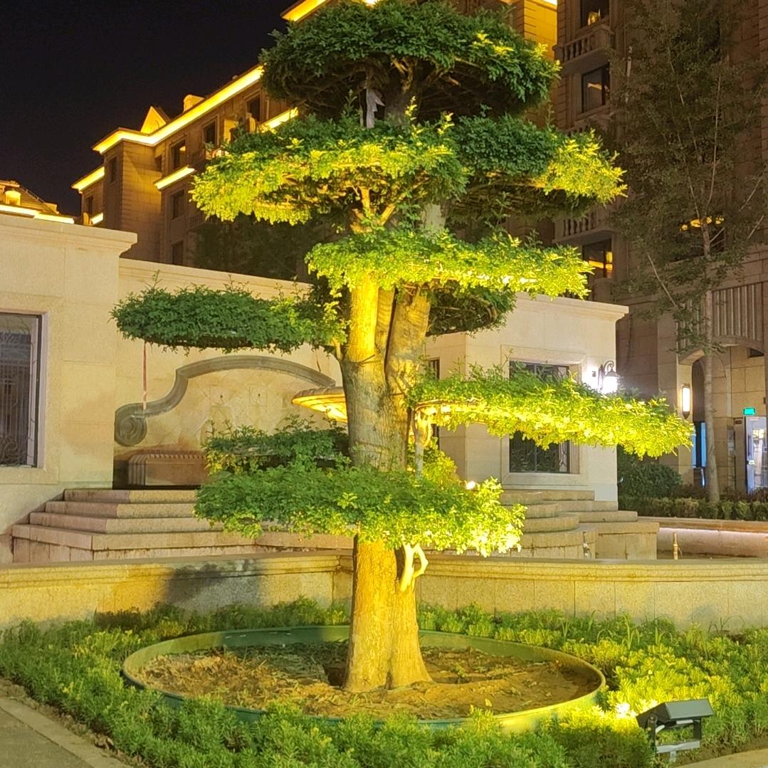 好好爱自己吧
