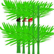 四两拨千斤