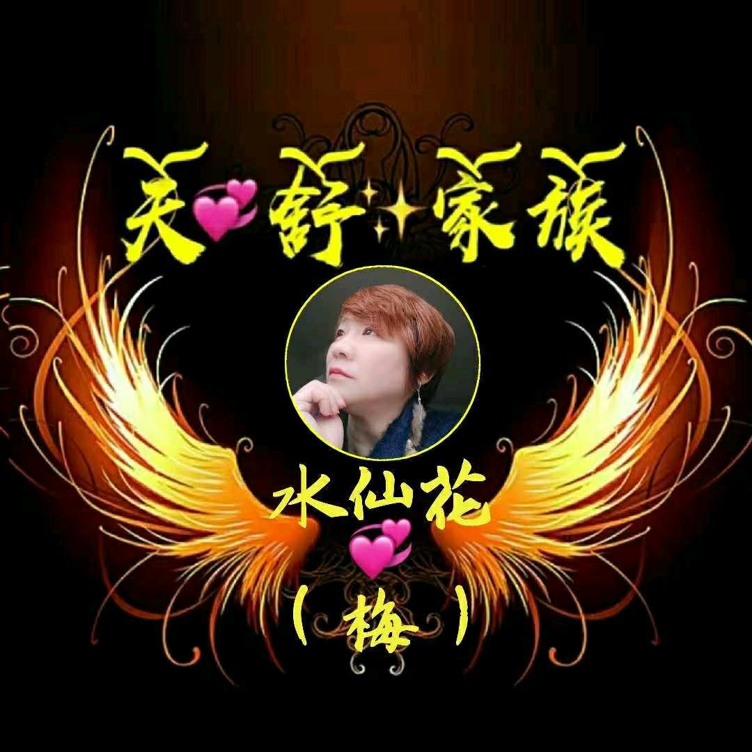 ꧁💞 水仙花💞꧂