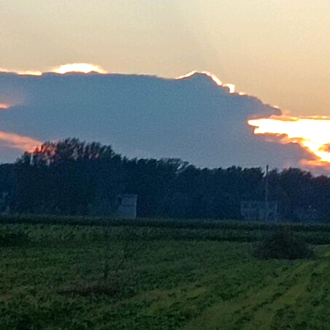 孝道文化传播人钟新