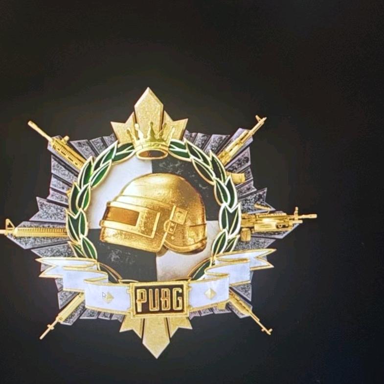 阿亮爱吃鸡（PUBG）