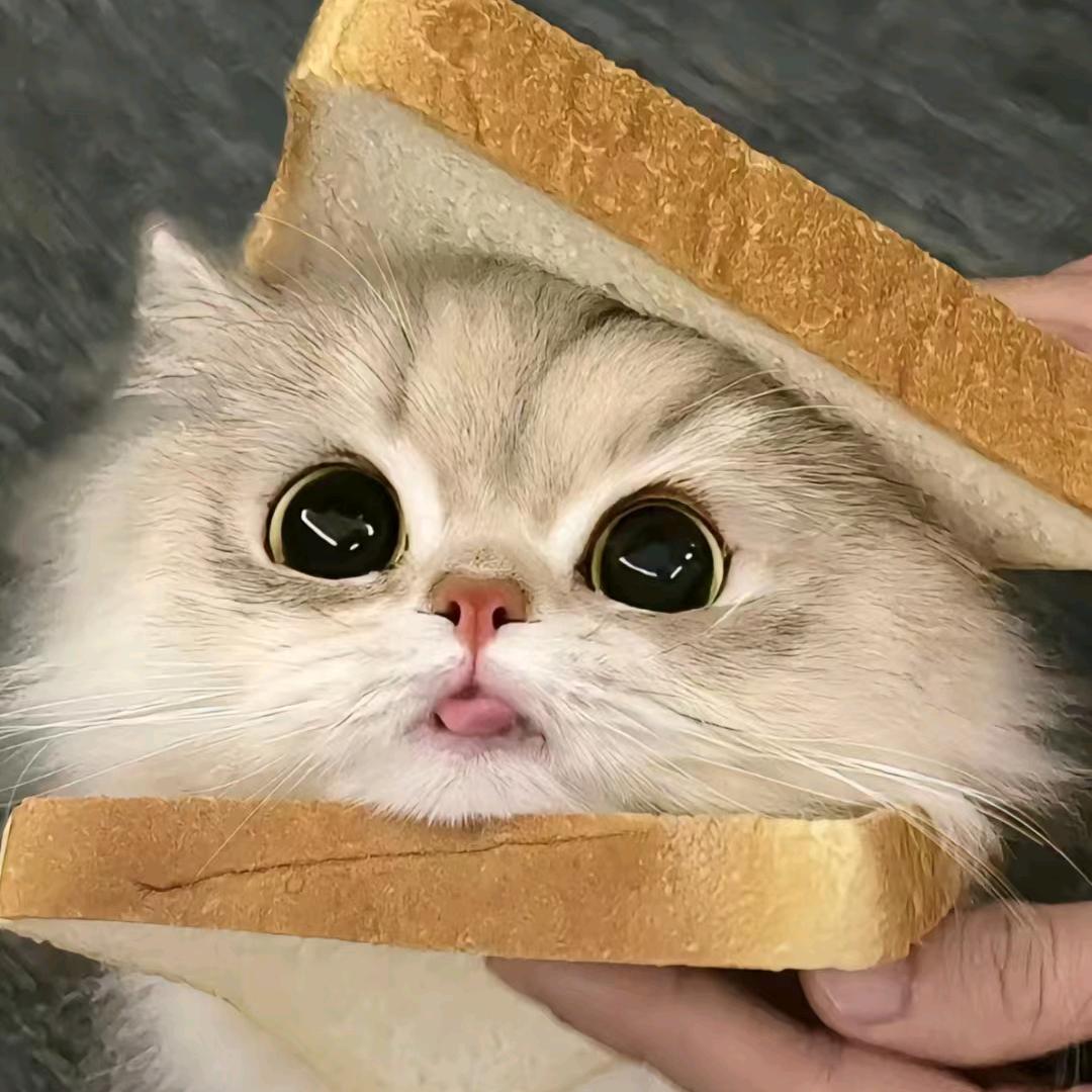 月球便利店员工佳