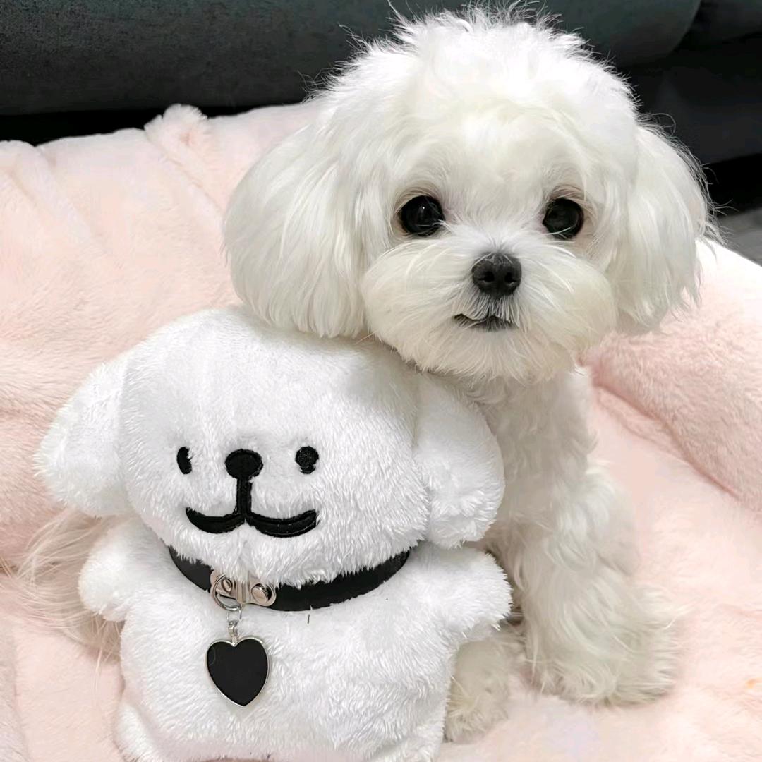 小美说大片