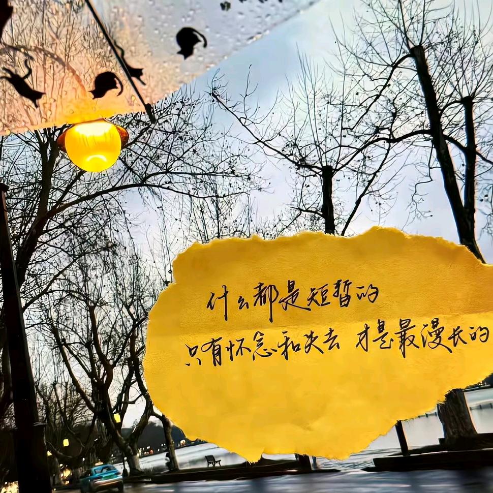 💞⃟半度微凉₁̶₃̶₁̶₄̶ᥫᩣ