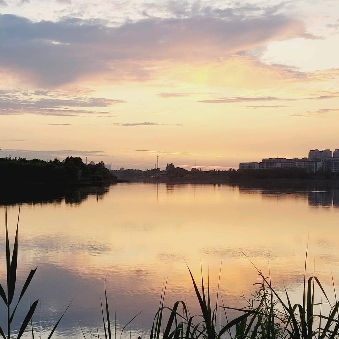 一醉清风 时光过客