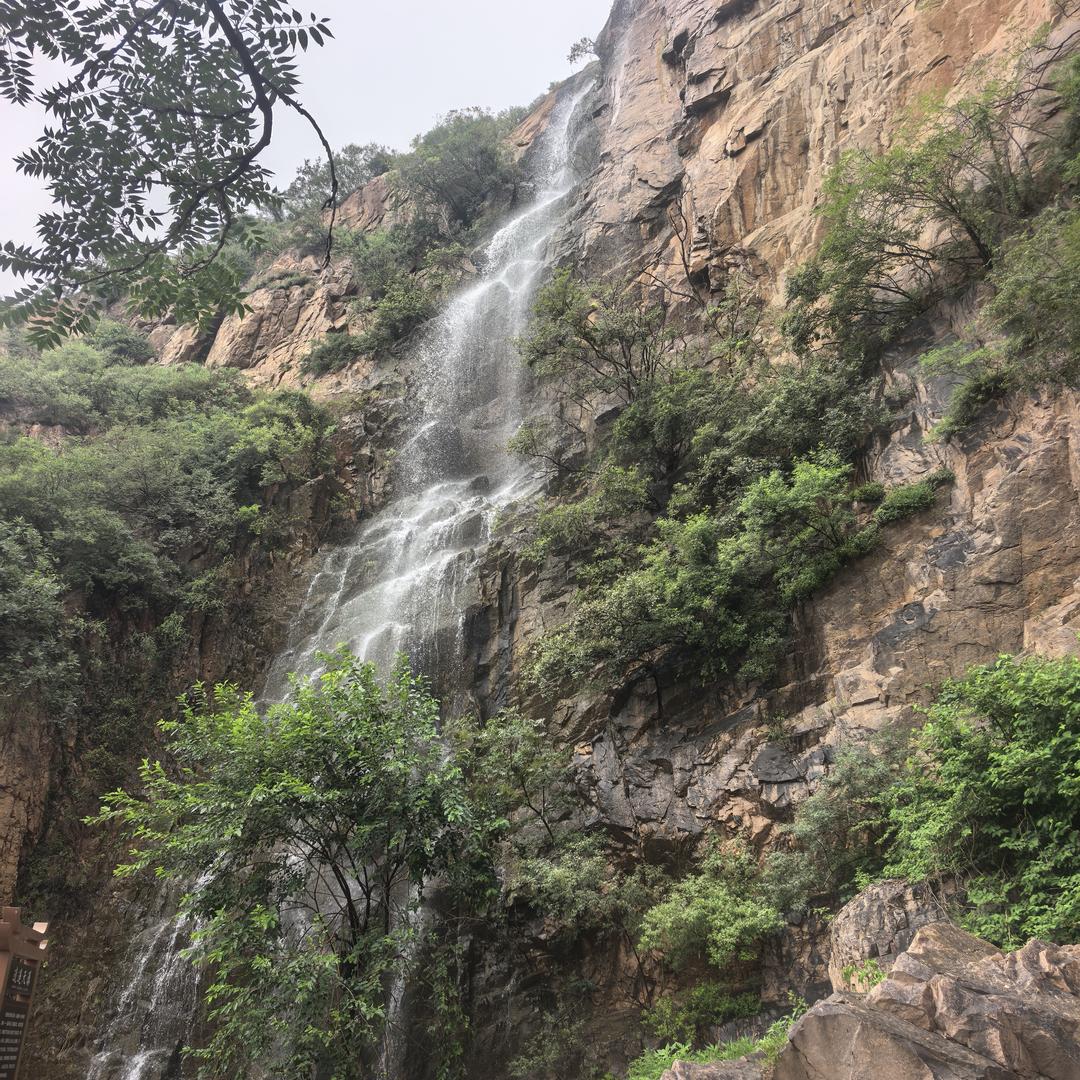 鑫宝