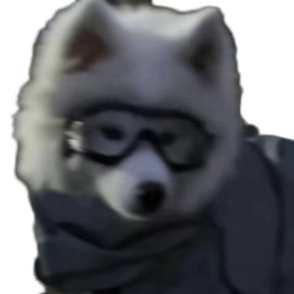 时倾  无畏契约