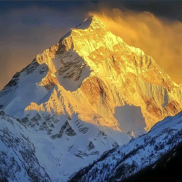 🥝小丸子🐿️