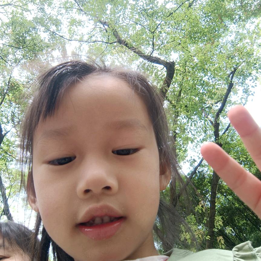 美囯