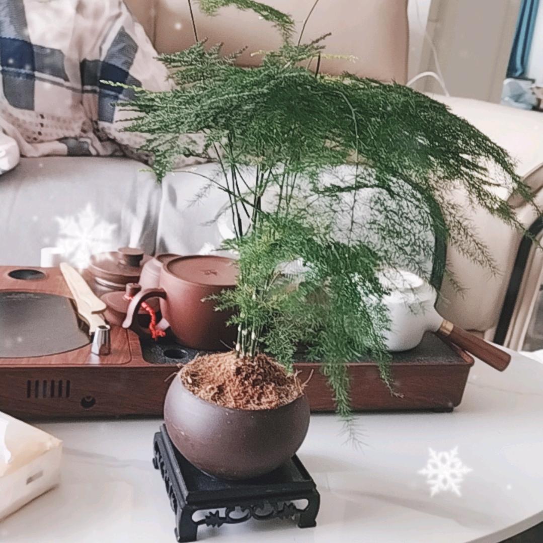 兰🧣• ·̫ •🧣