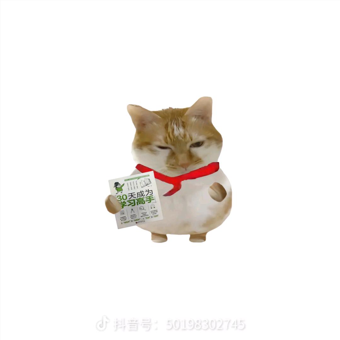 被风吹过相思