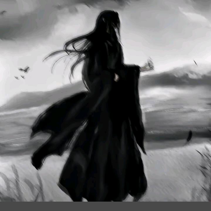 落叶殇