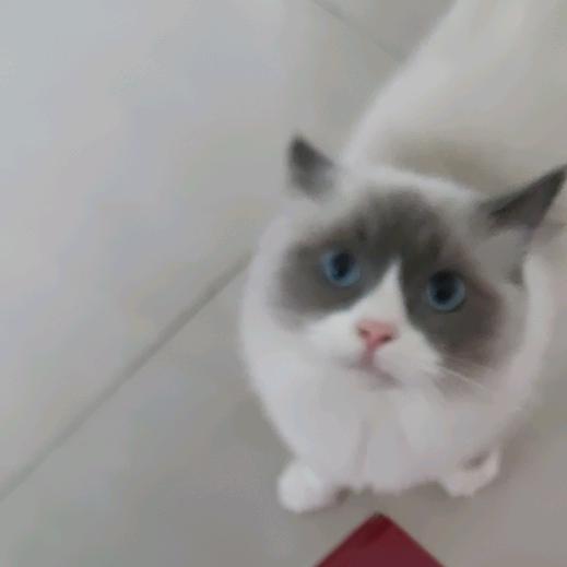 热爱。