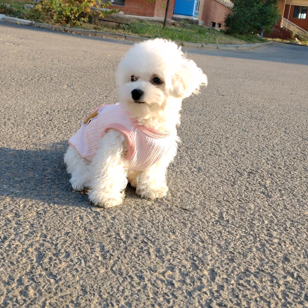 莱米~小六妹儿