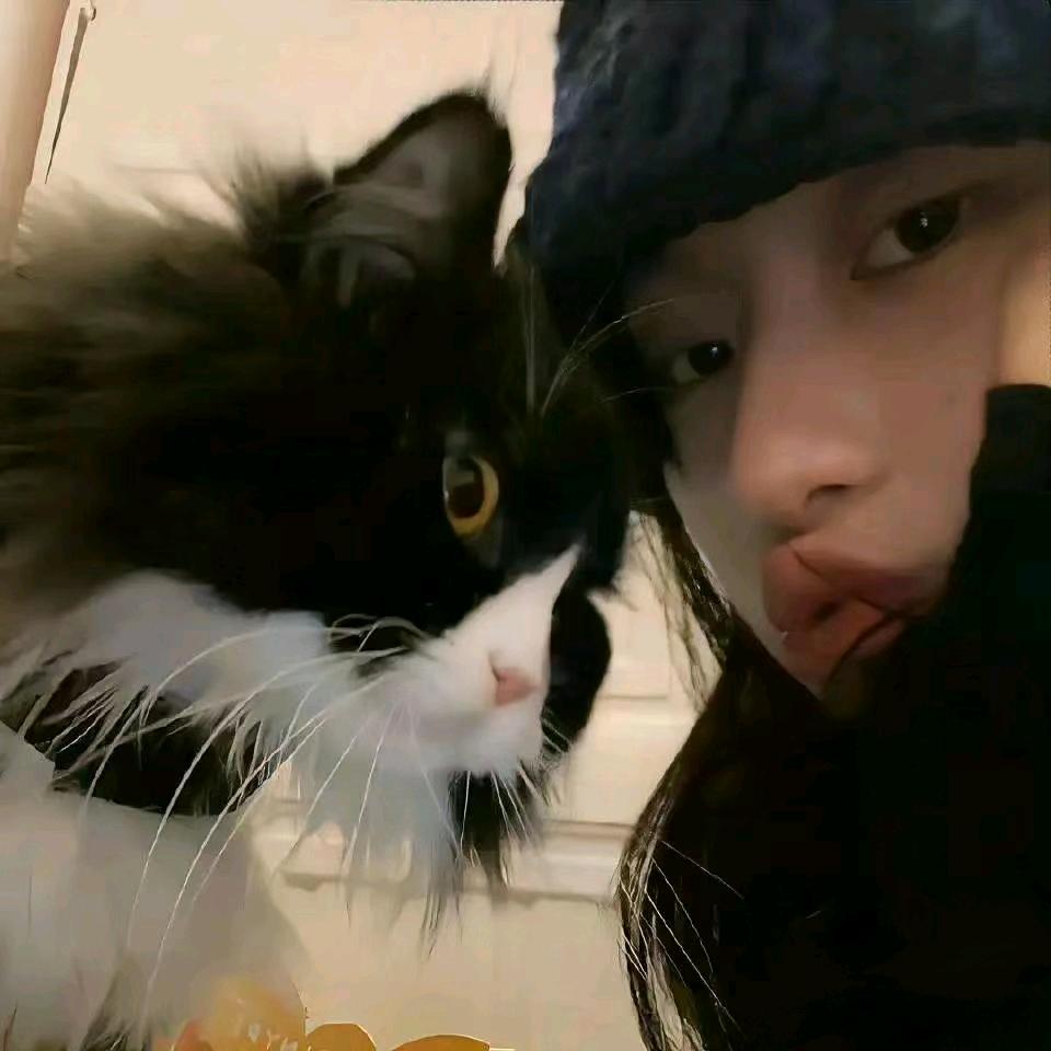 念冬诗