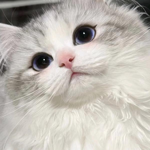 金兴五金装饰工程部宠粉号