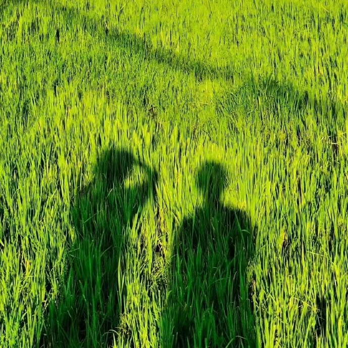 小会
