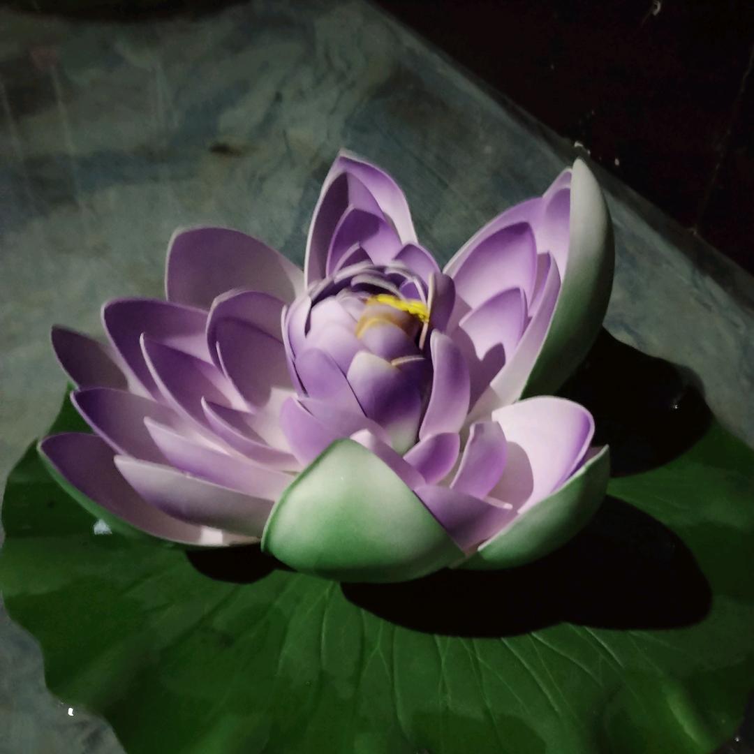 一生有你