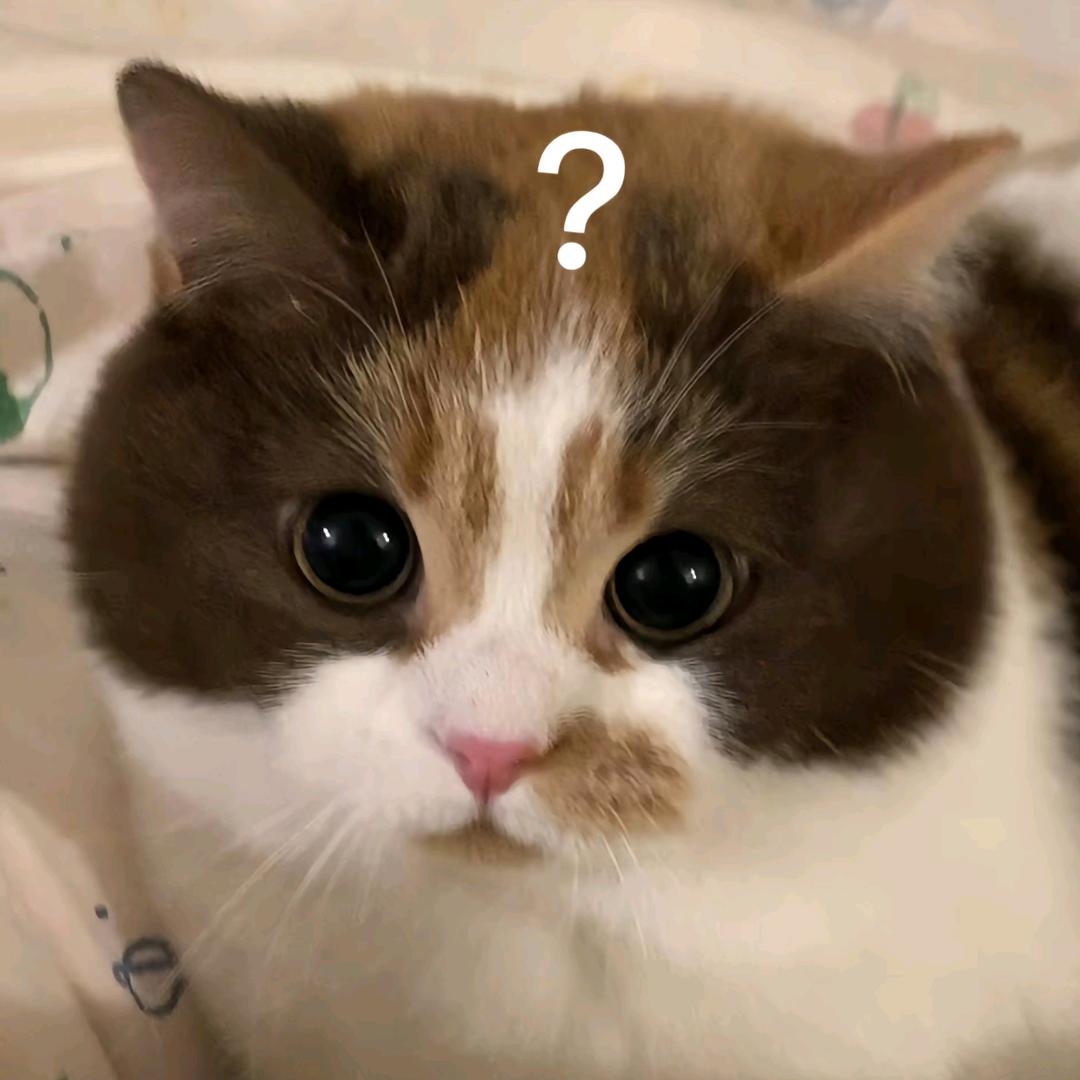 不做一剪梅