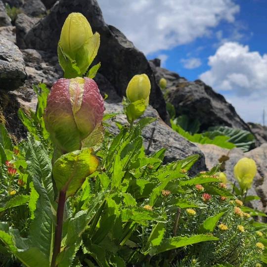 河北浦鑫管道集团