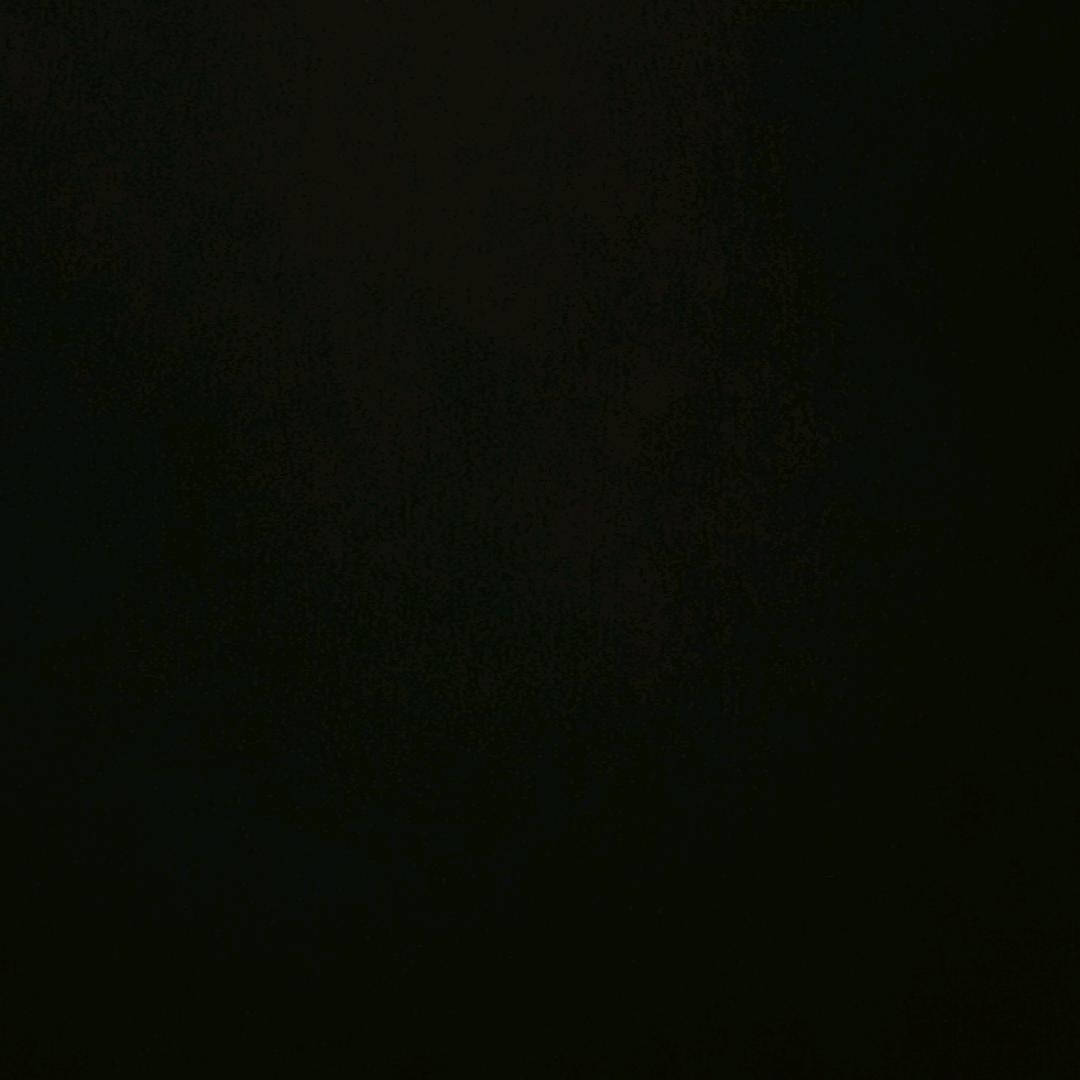 散步菠萝💤