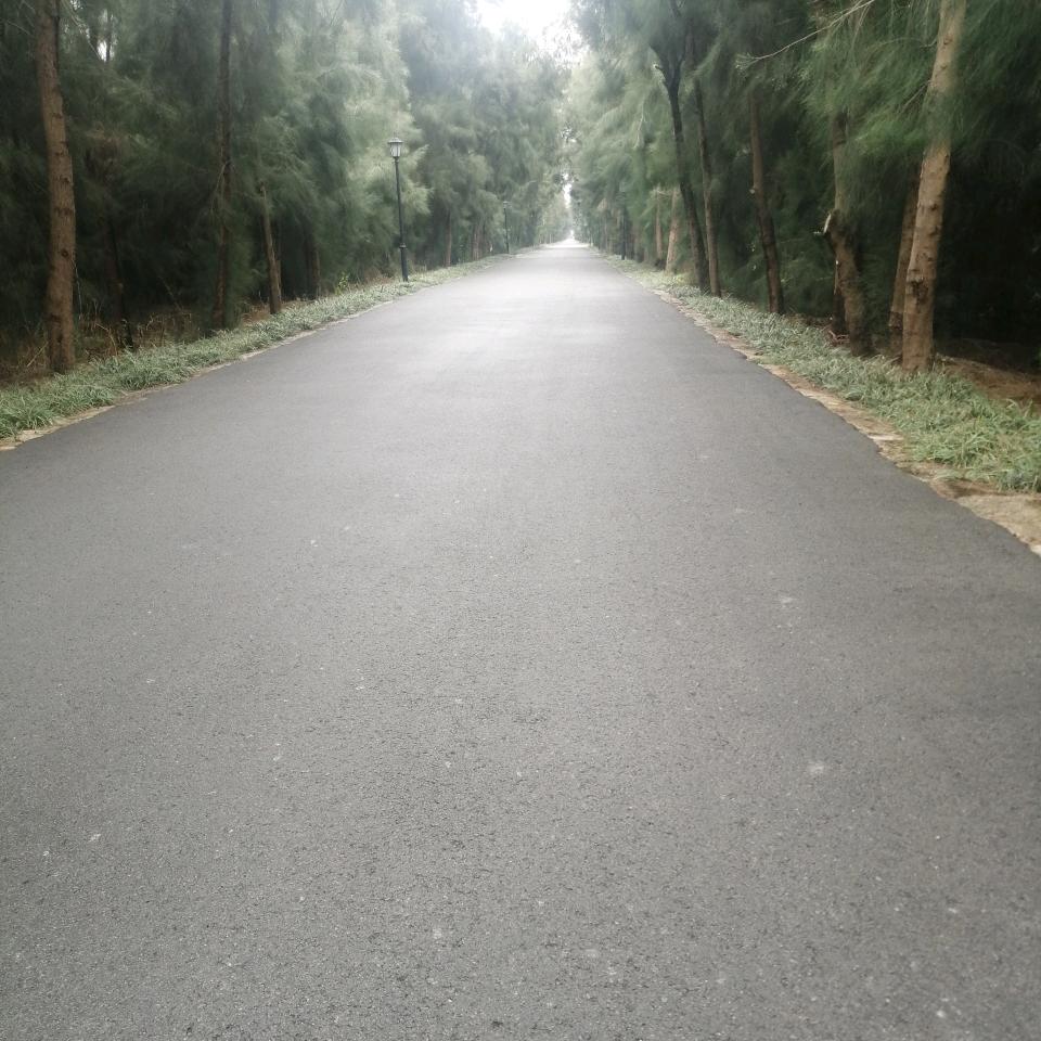 桃桃乌龙