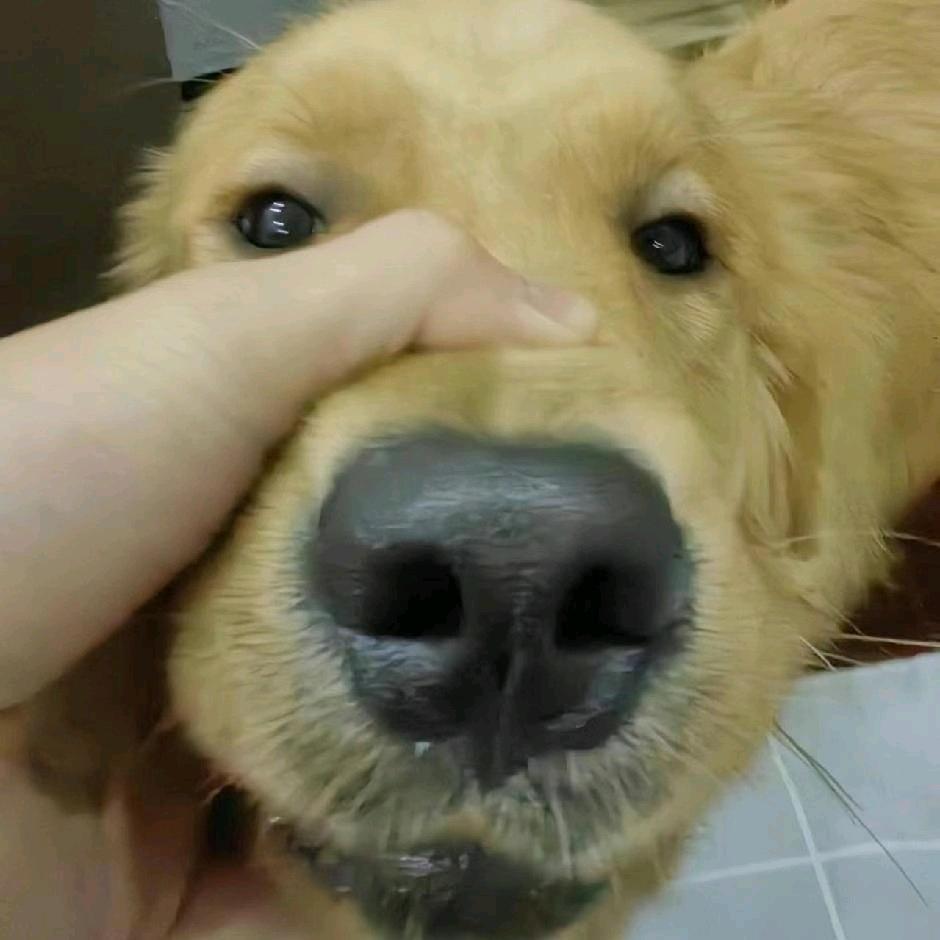 677