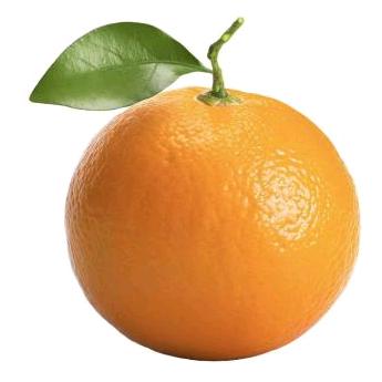大橙子🍊🍊🍊