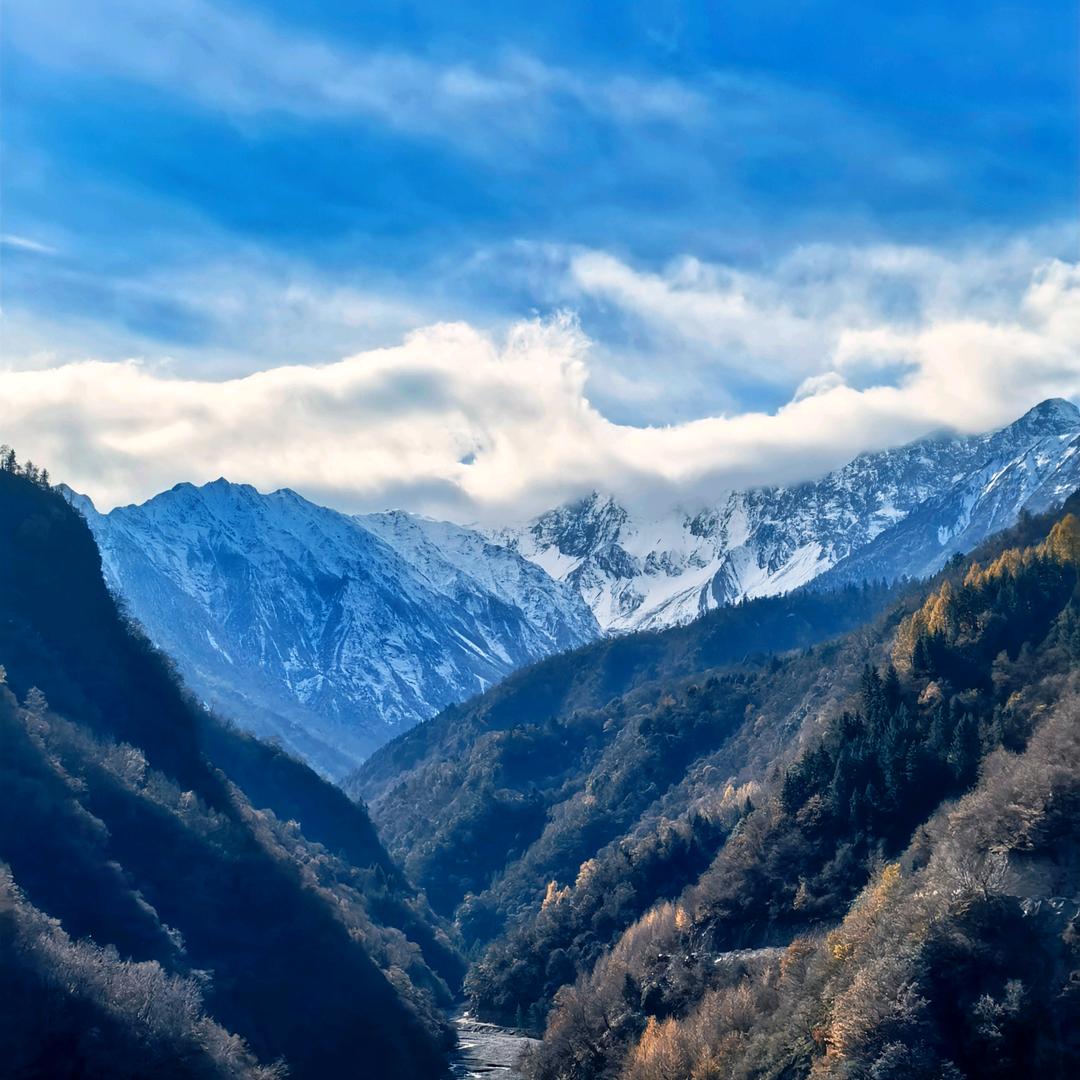 🌸哟哟哟花开那个富贵🎈